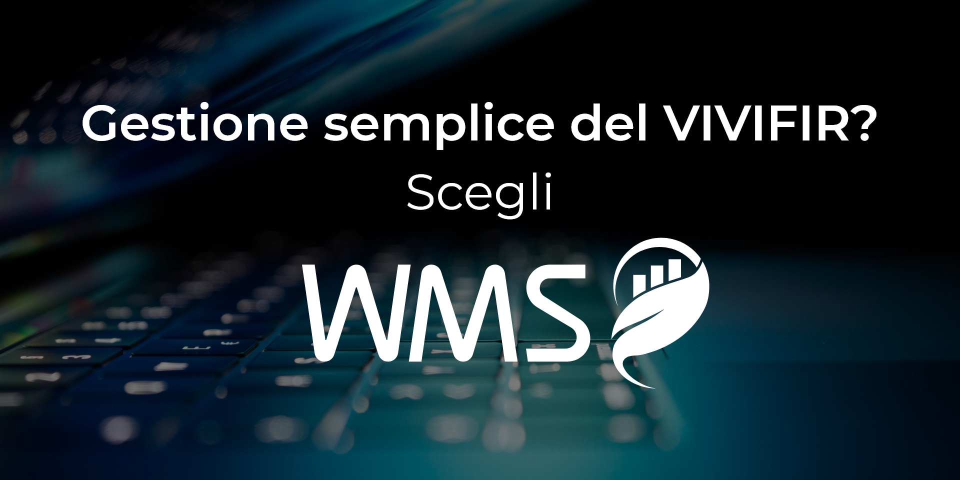 Gestione_semplice_del_VIVIFIR_(3)