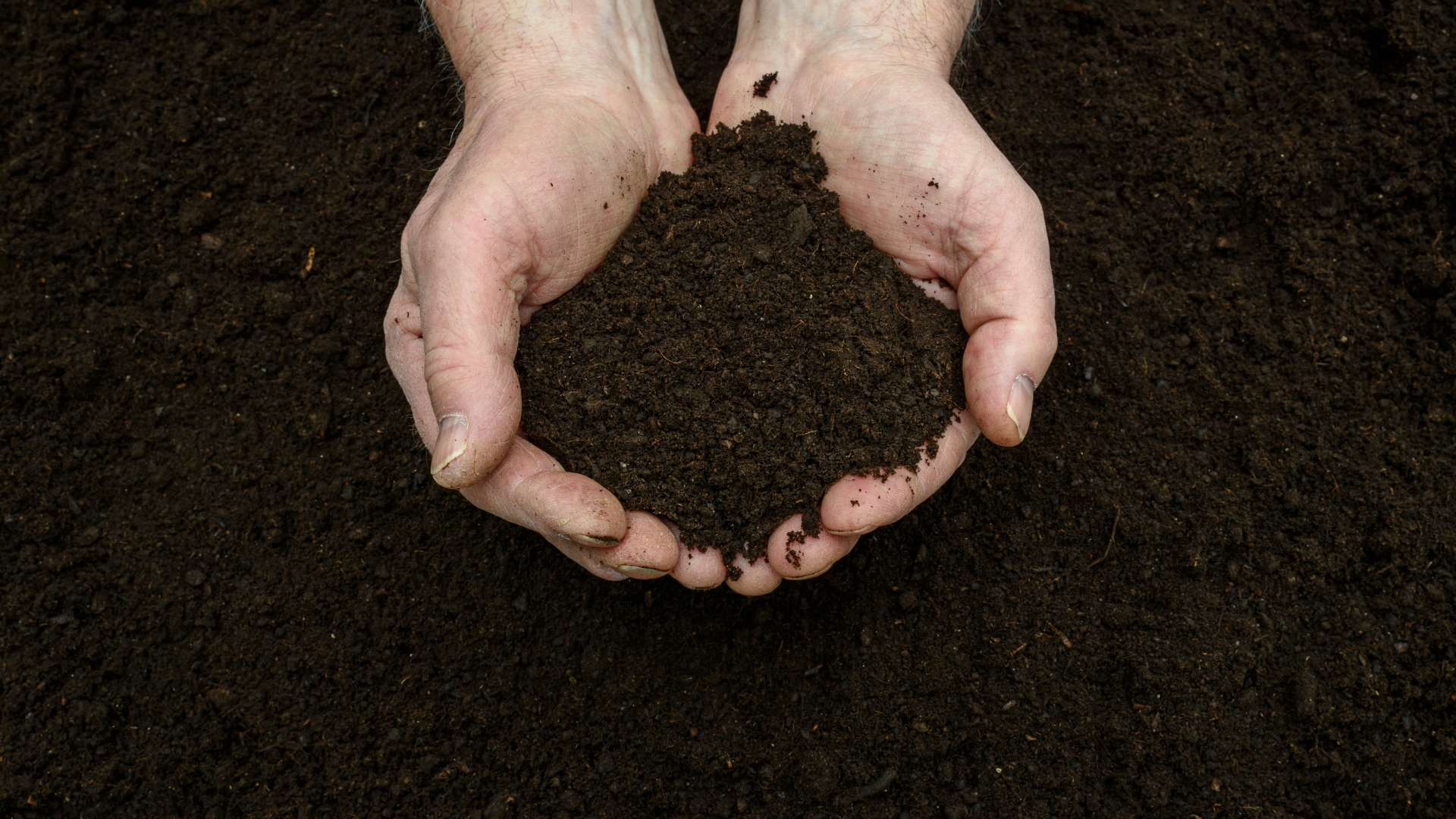 Progetto senza titolo(4)-Oct-14-2022-01-59-34-78-PM